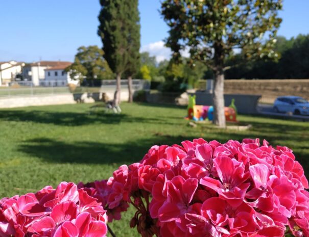 Bed and Breakfast Claudia e Chiara Ponsacco Pisa