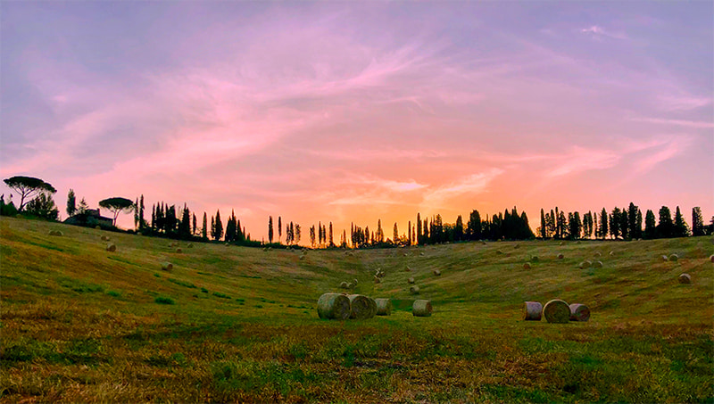 Alba a Ghizzano di Peccioli foto di Francesco Mazzei